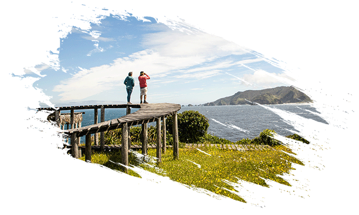 Chiloé - Paisaje de la isla